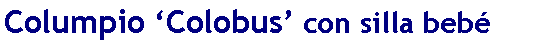 Casella di testo: Columpio ‘Colobus’ con silla bebé