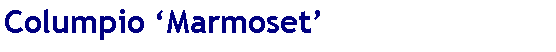 Casella di testo: Columpio ‘Marmoset’