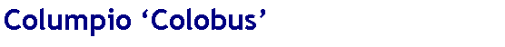 Casella di testo: Columpio �Colobus�